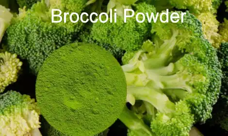 Benefits of Broccoli Powder Bulk for Nutrition Brands